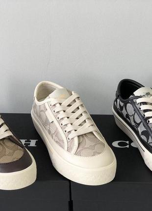 Шкіряні кеди кросівки coach