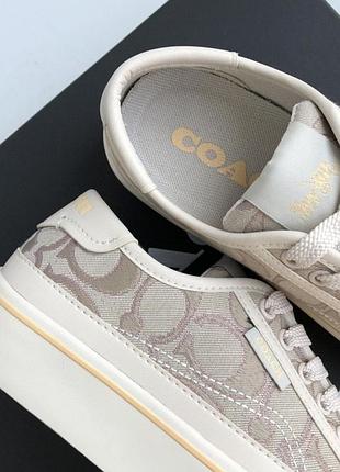 Шкіряні кеди кросівки coach