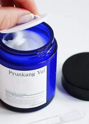 ✨ легкий увлажняющий крем для лица pyunkang yul moisture cream 100 ml2 фото