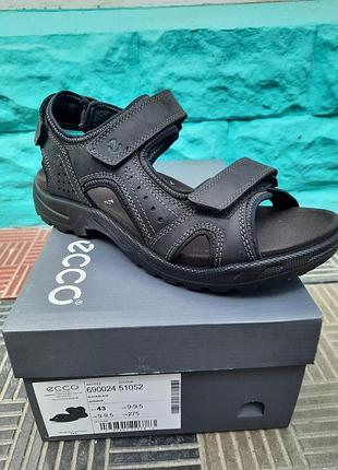 Buy ecco sandals 2025