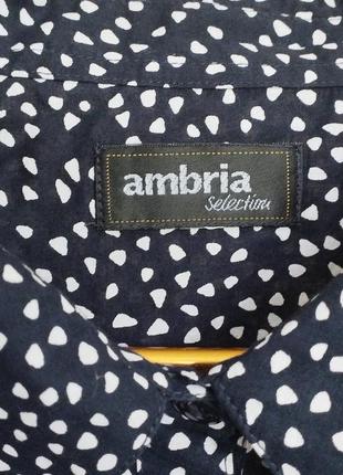 Рубашка женская коттон р.52-54 ambria2 фото