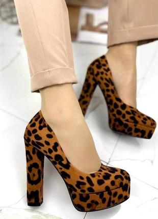 Жіночі замшеві туфлі на високих підборах stilli 0904 леопард3 фото