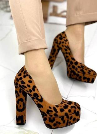 Жіночі замшеві туфлі на високих підборах stilli 0904 леопард5 фото