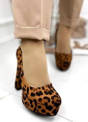 Жіночі замшеві туфлі на високих підборах stilli 0904 леопард9 фото