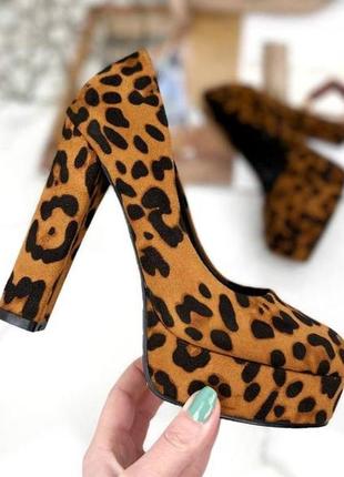 Жіночі замшеві туфлі на високих підборах stilli 0904 леопард8 фото