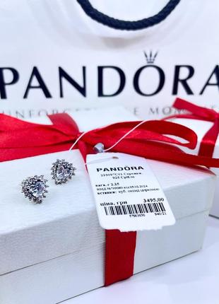 Серебряные серьги сережки пандора pandora 293097c01 сияющее сердце с ореолом сердечко с камнями серебро проба s925 ale новое с биркой и пломбой