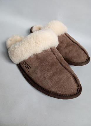 Замшевые тапки ugg1 фото