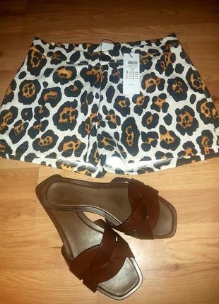 Новые шорты 4