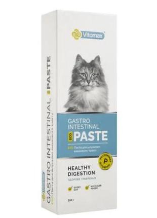 Еко паста для шлунково-кишкового тракту 100 г