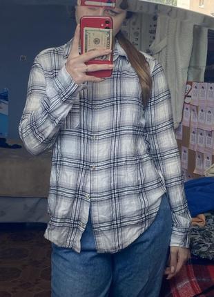 Hollister сорочка оригінал