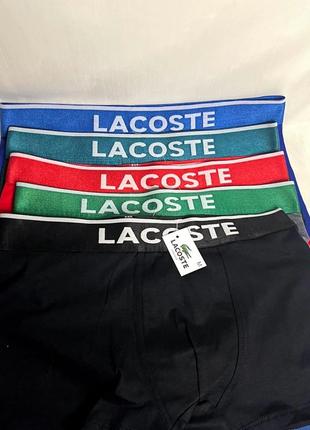 Бавовняні чоловічі труси боксери - graphic lacoste