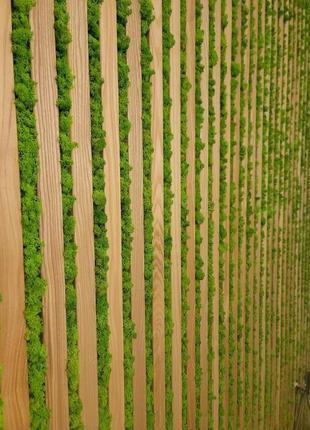 Озеленення стабілізованою мохом wow studio decor