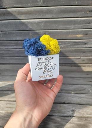Кашпо со мхом wow studio decor "все будет украина" белый