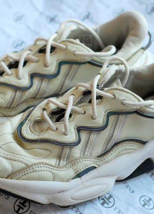 Кросівки stor adidas sand sneaker