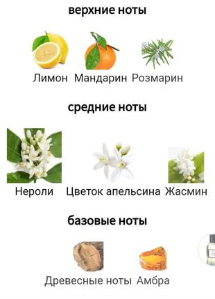 Jeanne en provence neroli intense туалетная вода унисекс мужская женская нероли4 фото