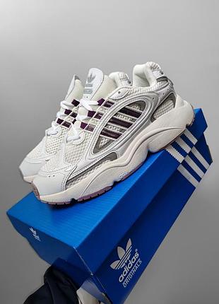 Adidas ozmillen beige/violet