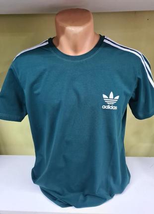 Мужская футболка адидас, зелёная футболка adidas, спортивная футболка мужская, футболка для тренировок, мужские футболки, футболка, футболка adidas