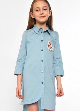 Сукня-сорочка з вишивкою