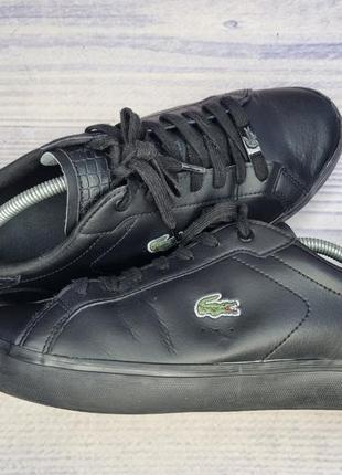 Кеды lacoste