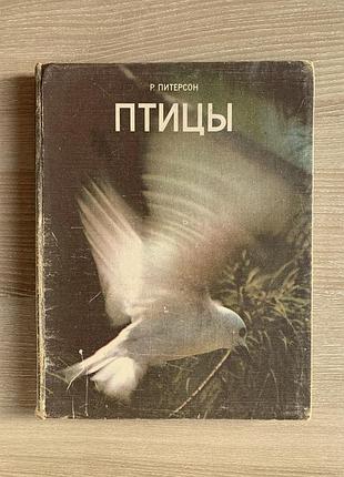 Птицы