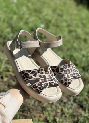 Жіночі босоніжки з натуральної шкіри / шкіряні босоніжки в леопардовому принті / леопардові сандалі шкіряні5 фото