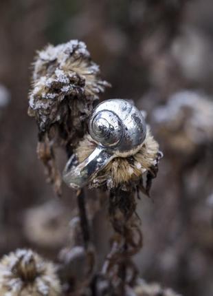 Серебряное кольцо "ракушка"4 фото