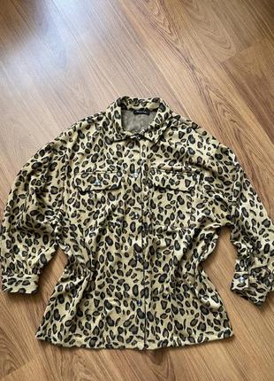 Тепла леопардова сорочка massimo dutti утеплённая рубашка в леопардовый принт2 фото