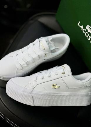 Кроссовки lacoste