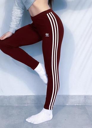 Лосини від adidas1 фото