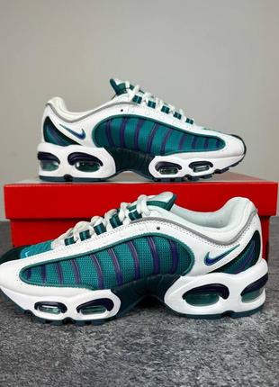 Мужские кроссовки nike pro max air