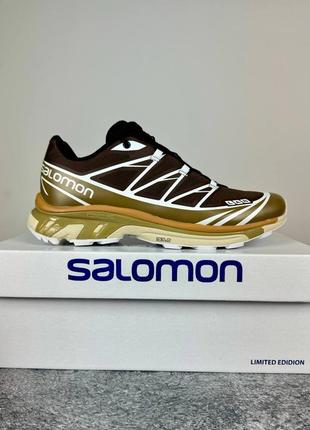 Топові кросівки salomon xt-6