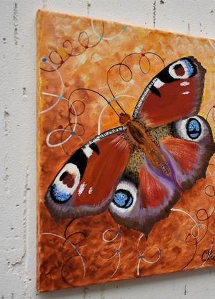 Бабочка павлиний глаз. картина маслом на холсте, 30х30 см2 фото