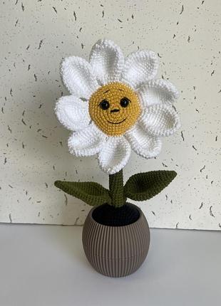 Вязаный цветок, амигуруми, цветок в горшке, ромашка