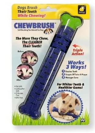 Самоочисна зубна щітка для собак chewbrush.