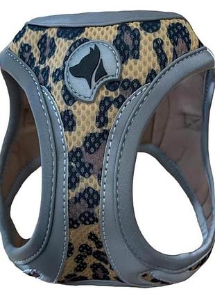 Шлея hiking reflective, леопард , нейлон, xs 30-33см *