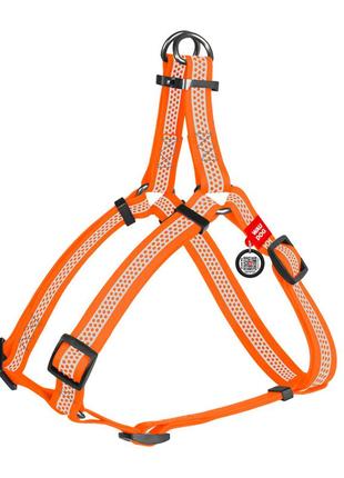 Шлея для собак водостійка waudog waterproof з qr-паспортом, світловідбиваюча, металева пряжка-фастекс, m, ш