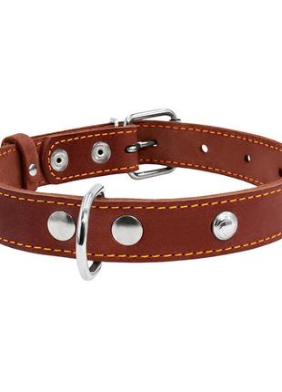 Нашийник "collar" одинарний з прикрасами (ширина 20мм, довжина 32-40см) коричневий2 фото