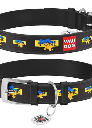 Нашийник для собак шкіряний waudog design з qr паспортом, малюнок "дім", xs, ш 12 мм, дов 20-28 см, чорний