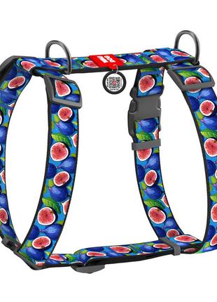 Шлея для собак анатомічна h-подібна waudog nylon з qr-паспортом, малюнок "інжир", пластиковий фастекс, xl, ш