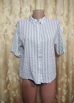 Блуза жіноча george