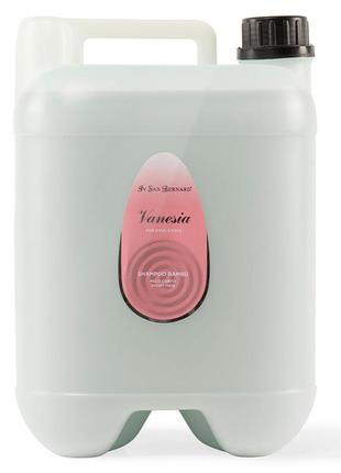 Шампунь iv san bernard marrow, бамбуковий для короткошерстих котів і собак, 10 л ( 1шт/уп)