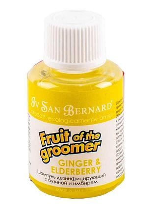 Шампунь iv san bernard ginger and elderberry дезінфукуюча, з бузиною та імбиром, 30мл