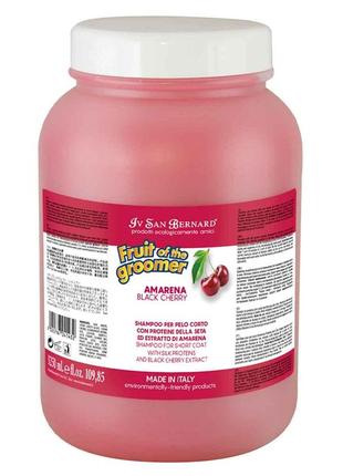 Шампунь iv san bernard black cherry для короткої шерсті, з протеїнами шовку та чорною вишнею, 3,25л