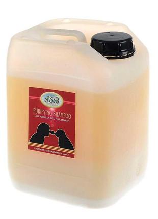 Шампунь iv san bernard purifying shampoo, очищающий з глиною мертвого моря, 5л ( 2 шт/уп)