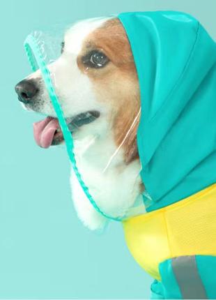 Дощовик комбінезон для собак. м, l, xl2 фото