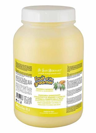 Маска iv san bernard ginger and elderberry дезінфікуюча, з бузиною та імбирем, 3л (2 шт/уп)