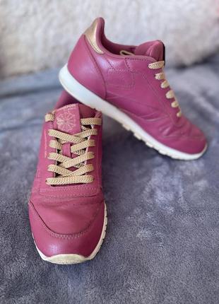 Reebok classic leather infants (rm-twisted berry/chalk)  кросівки 34,55 фото
