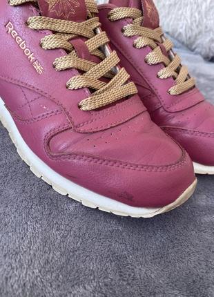 Reebok classic leather infants (rm-twisted berry/chalk)  кросівки 34,56 фото