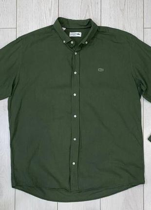 Lacoste xxl size hotsell