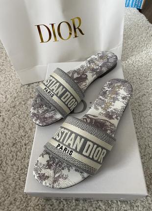 Шльопанці dior, сірі тапки діор